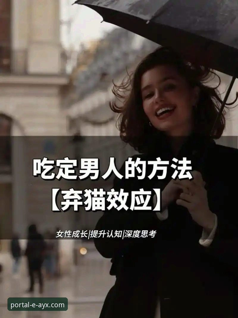 ayx登录入口必备 爱游戏体育平台登录入口全面解析:从版本迭代到使用策略的深度思考